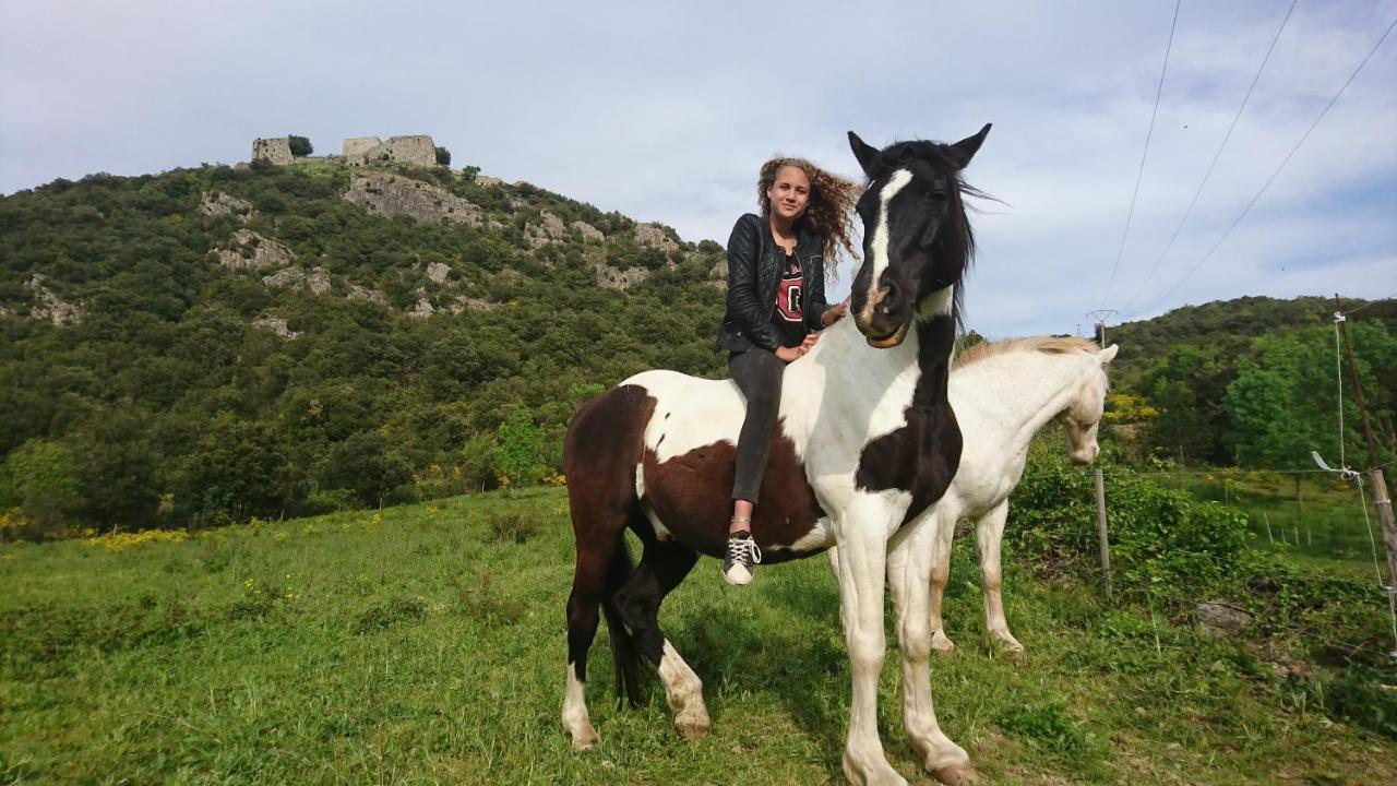 Gites A La Ferme - Hautes-Corbieres Termes Exteriör bild