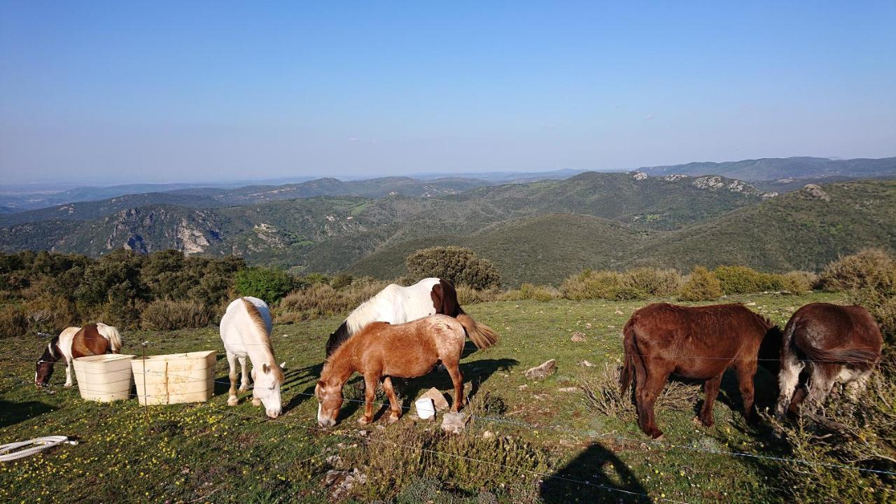 Gites A La Ferme - Hautes-Corbieres Termes Exteriör bild